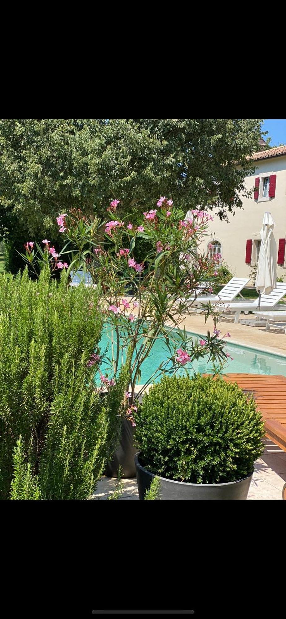 Sophie * Poreč